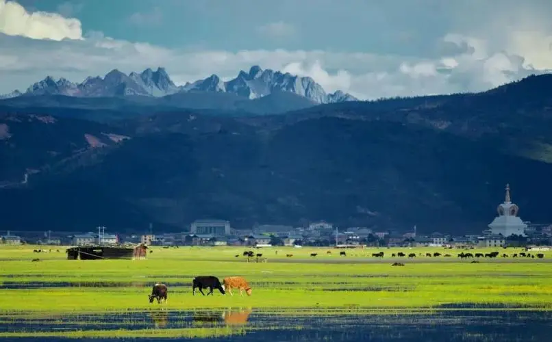 【实战】“我最近要去云南旅游，有哪些必去的景点和特色美食推荐？”，以文章结构的形式设置成提示词